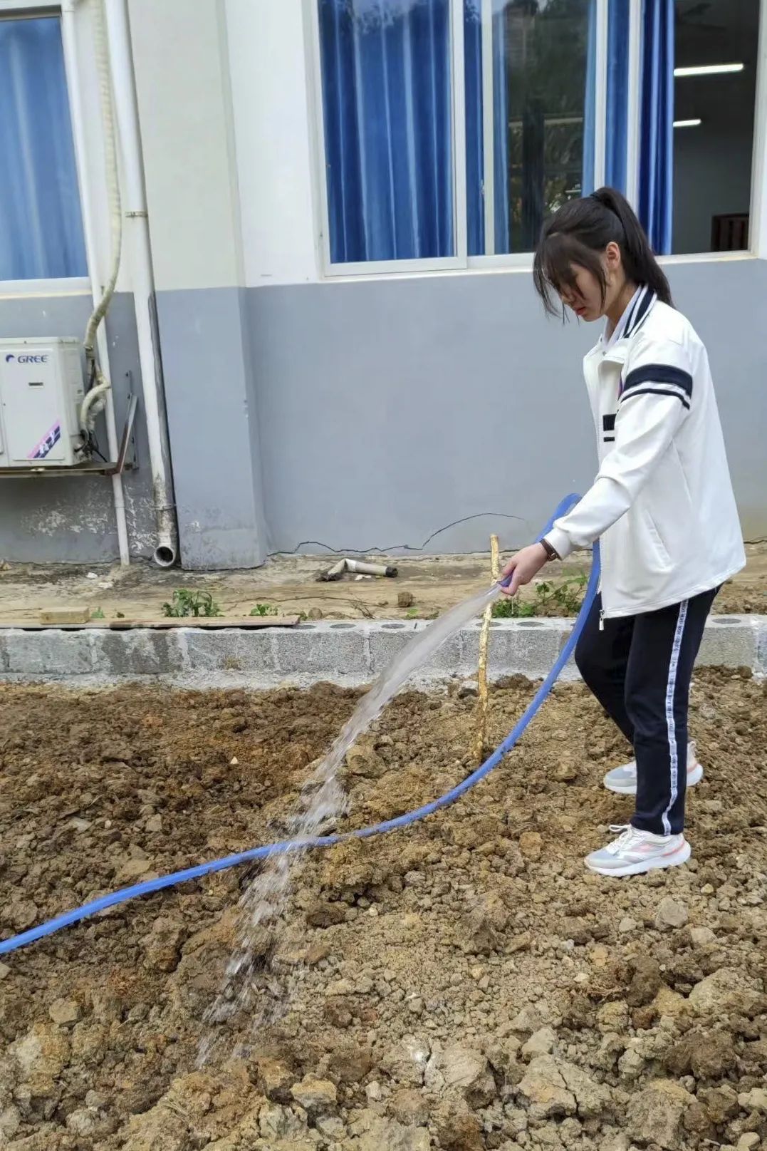 劳动实践照片图片